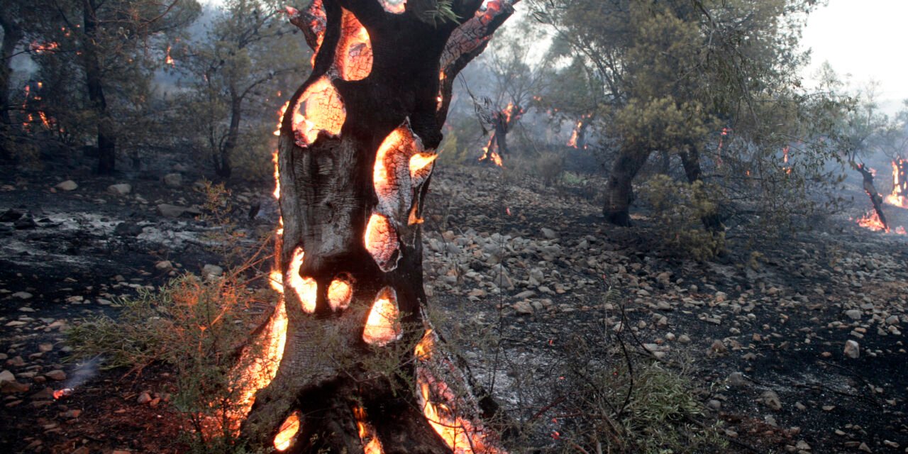 C pour Climat (Chaos climatique)