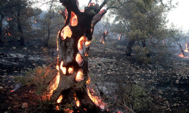C pour Climat (Chaos climatique)
