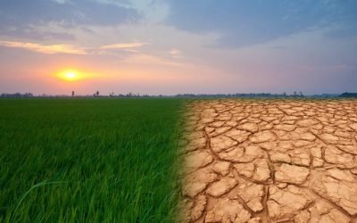 C pour Climat (réchauffement climatique)