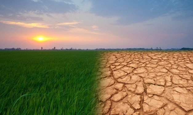 C pour Climat (réchauffement climatique)