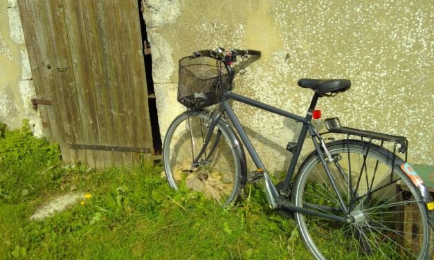 Se rendre à la ferme et rencontrer les gens du coin