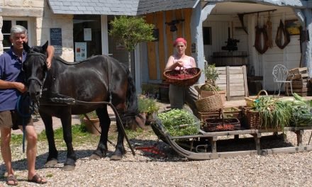 Interview avec Charles + Perrine de la Ferme en Permaculture de Bec Hellouin