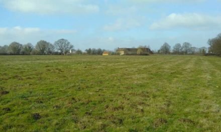 Un appel au Médecin du Sol à La Grande Raisandière