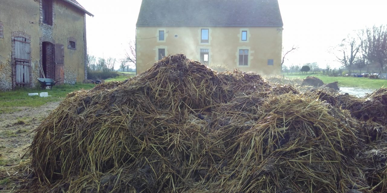 Deux pas en avant, un pas en arrière
