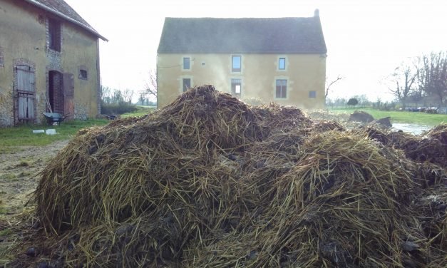 Deux pas en avant, un pas en arrière