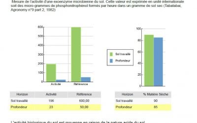 S pour Sol (Analyse de)