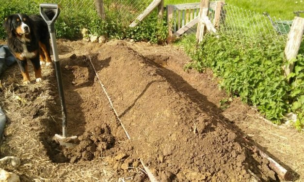 Le printemps est enfin arrivé à La Grande Raisandière