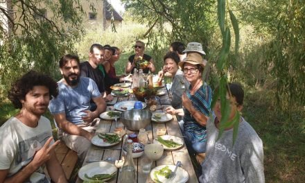 Nouvelles dates de stages pour 2020, la recolte et la conservation, WWOOFeurs et champs d’or