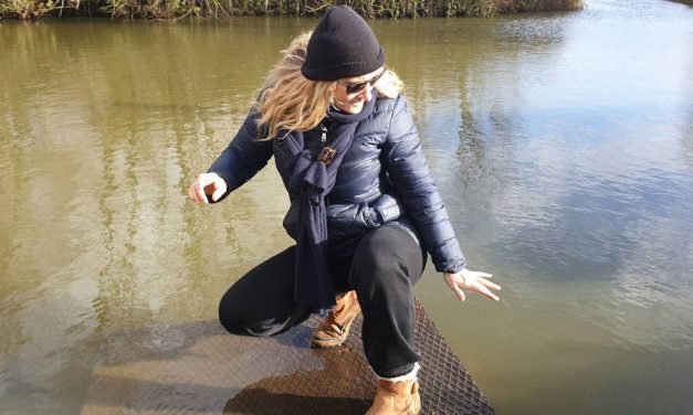 Remplissant la mare, brulant du bois, plantant des arbres…