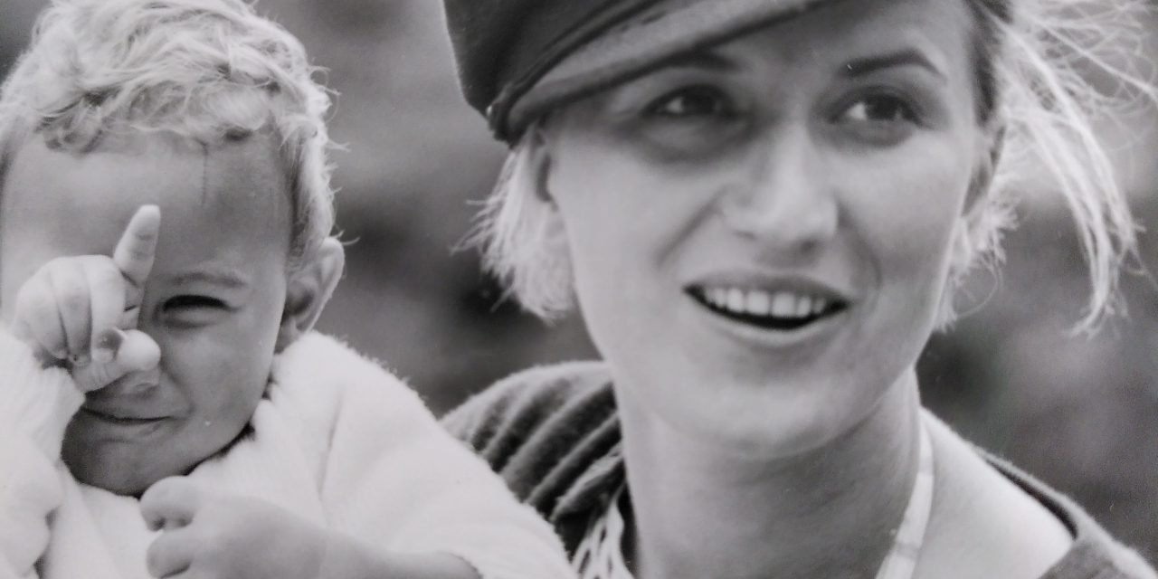 Eté 2022 : toit de la grange réparé; panneaux solaires; torchis; nouvelle fenetre et mur, journée Portes Ouvertes; Danièle Lepetit, 1938-2022