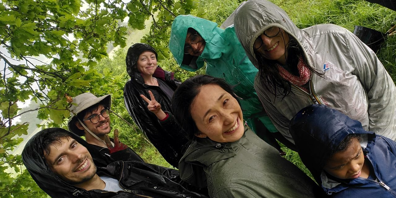 Septembre 2023 : de la pluie estivale enfin ; des montagnes de fruit ; nos stages automne 2023 ; efficacité énergétique et énergie renouvelable ; déchets verts