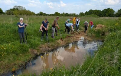 L’Ecole du Dimanche Alternative de l’Association de Permaculture du Perche a ouvert ses portes au public