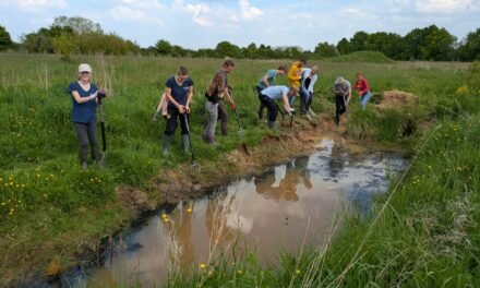 L’Ecole du Dimanche Alternative de l’Association de Permaculture du Perche a ouvert ses portes au public