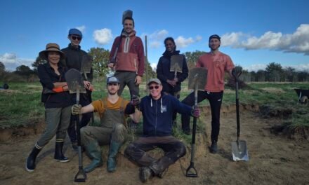 2025 : une année d&rsquo;abondance et une nouvelle mare dans notre ferme en permaculture