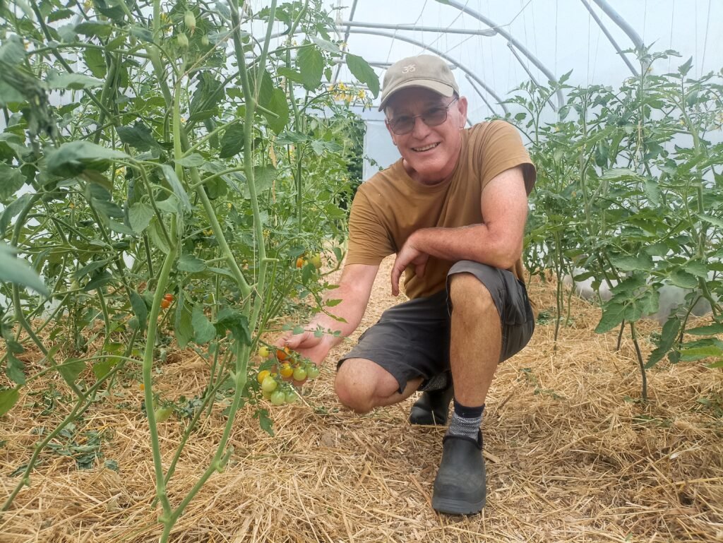 Alexis in new greenhouse