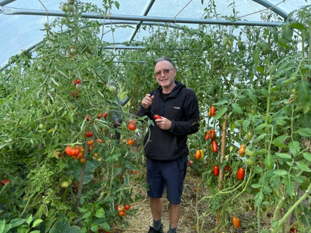 Alexis & tomates dans la serre