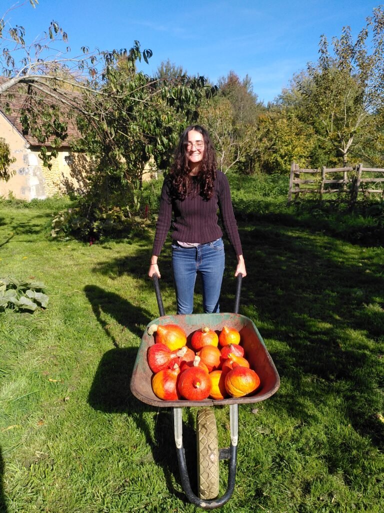 Romane et les potirons