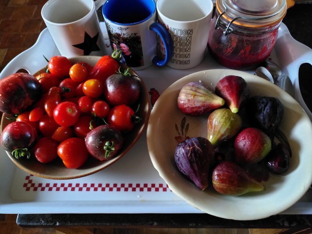Tomates et figues
