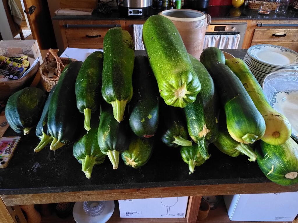 Courgettes