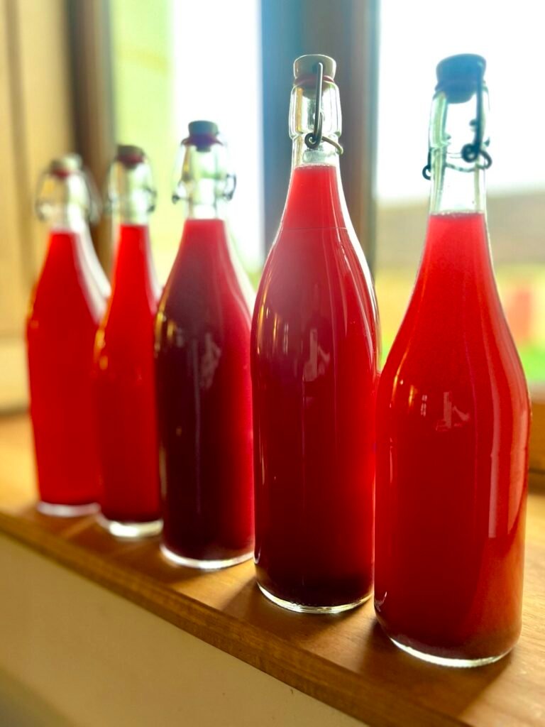 Bouteilles de notre vin